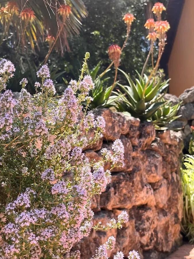 فيلا Giardino Di Circe أغريجنتو